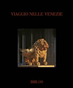 VIAGGIO NELLE VENEZIE