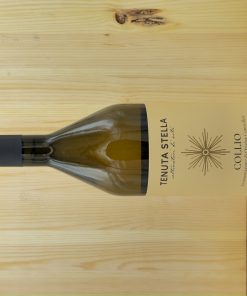 Friulano Tenuta Stella Collio d.o.c.