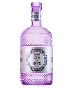 Gin Dry Blueberry – Bertagnolli