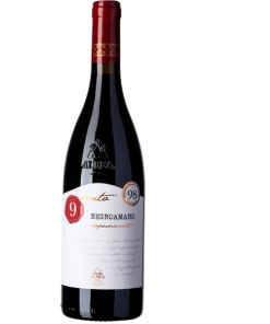 9cento – NEGROAMARO in Appassimento