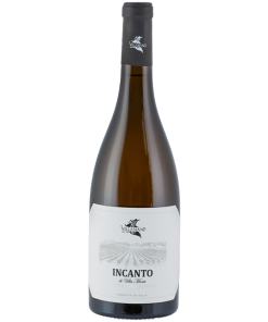 INCANTO Falerio Pecorino DOC  75 cl cant. Villa Manù