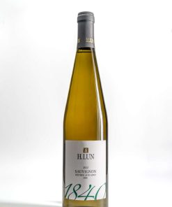 H. LUN Sauvignon