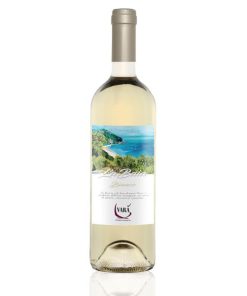 ” La baia ” Marche IGT Sauvignon 75 cl cant.Varà