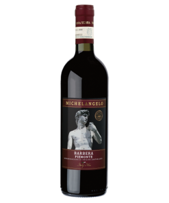 Piemonte DOC Barbera&nbsp;MICHELANGELO