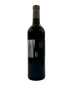 Vigneti delle Dolomiti IGT Rosso “Rubrum” 2021 – Roberto Ferrari