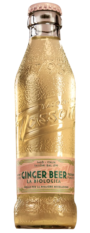 Ginger Beer Tassoni 18 cl - immagine 2