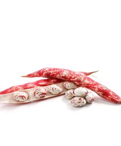 Fagioli freschi Borlotti