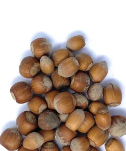 Nocciole in guscio