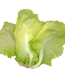 Insalata gentile